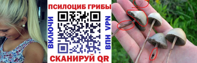 Псилоцибиновые грибы прущие грибы  продажа наркотиков  Игарка 