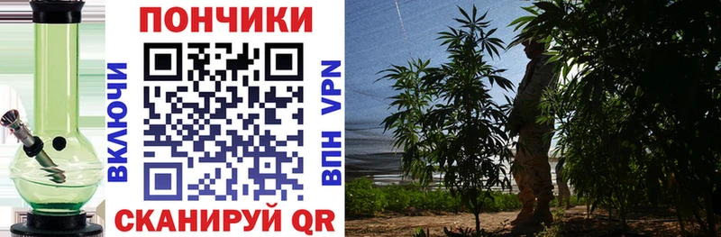 Бошки Шишки MAZAR  купить   Игарка 